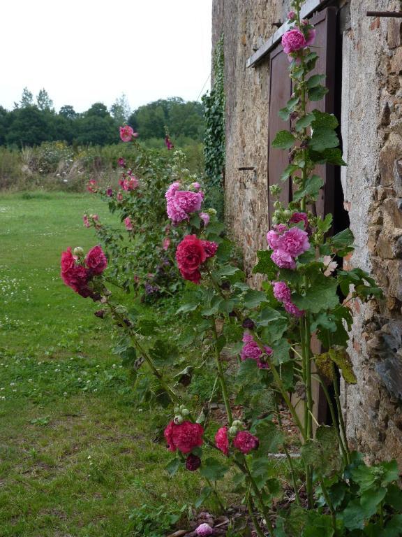 Chambres D'Hotes Le Chateau Rouge Saint-Germain-sur-Moine Экстерьер фото
